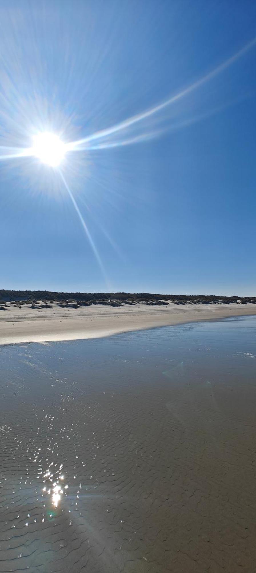 Pension Bakema Ameland Nes  Εξωτερικό φωτογραφία
